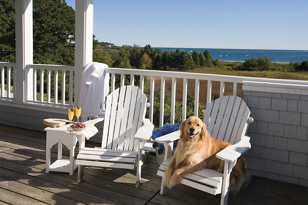 How to Choose Pet Friendly Patio Furniture