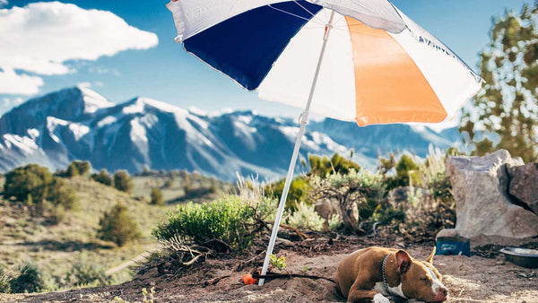Guide to Patio Umbrellas & Repair Parts