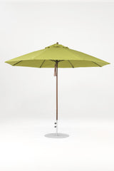 11 Ft Octagonal Frankford Patio Umbrella | Pulley Lift Mechanism copy-of-11-ft-octagonal-frankford-patio-umbrella-pulley-lift-matte-silver-frame Frankford Umbrellas Frankford 5-BZDesertBronze-Pistachio_0ef8fada-8dc0-4cc8-b2c2-916c11fa9ee0.jpg