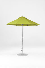 7.5 Ft Octagonal Frankford Patio Umbrella | Crank Lift Mechanism 7-5-ft-octagonal-frankford-patio-umbrella-crank-lift-mechanism Frankford Umbrellas Frankford 5.MSBrushedSilver-Pistachio_0abc4b6f-ccd7-4c71-bfb9-ca41bc8bb936.jpg