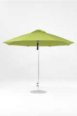 11 Ft Octagonal Frankford Patio Umbrella | Pulley Lift Mechanism copy-of-11-ft-octagonal-frankford-patio-umbrella-pulley-lift-matte-silver-frame Frankford Umbrellas Frankford 5.MSBrushedSilver-Pistachio_854fca8c-5112-4a69-b254-205693509c80.jpg